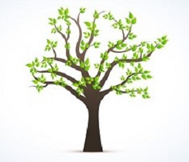 A tree